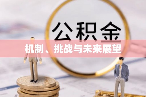 南长机制、挑战与未来展望